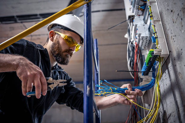 Best Local Electrician Companies  in Winona, MN
