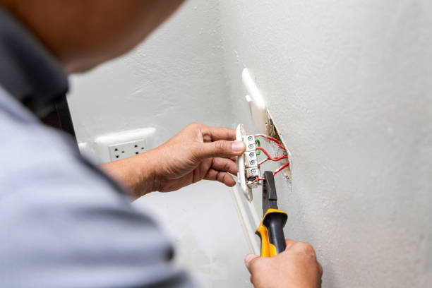 Best Home Electrical Repair  in Winona, MN